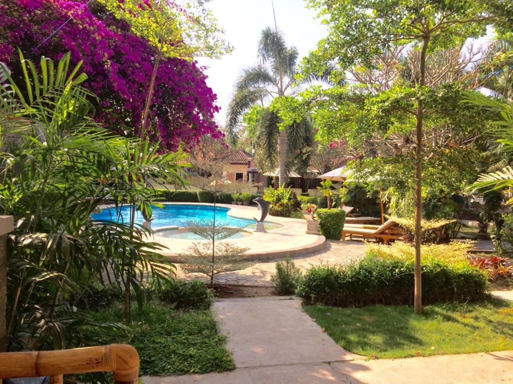 Astina Hotel Lovina Εξωτερικό φωτογραφία