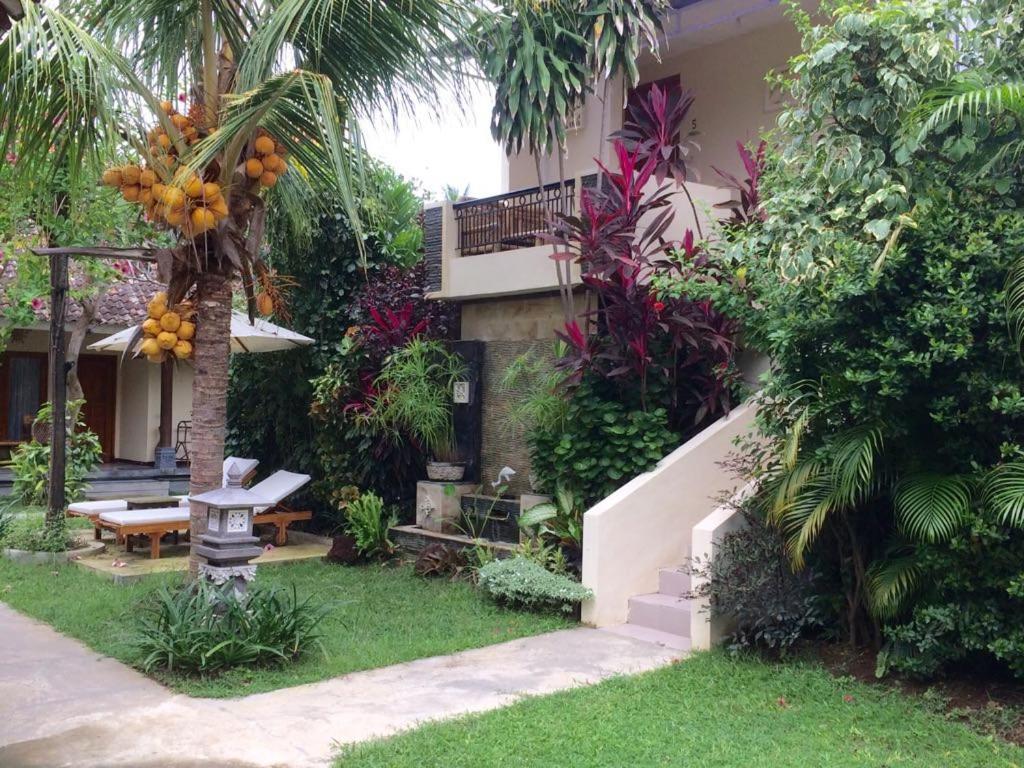 Astina Hotel Lovina Εξωτερικό φωτογραφία