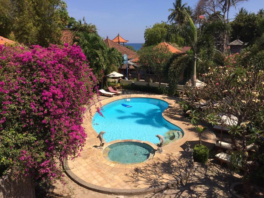 Astina Hotel Lovina Εξωτερικό φωτογραφία